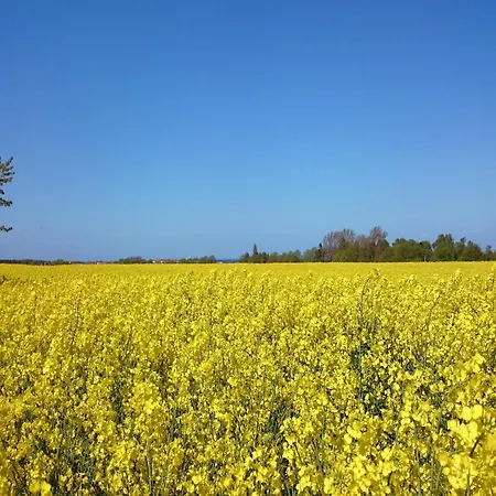 Holiday home In Stove Boiensdorf