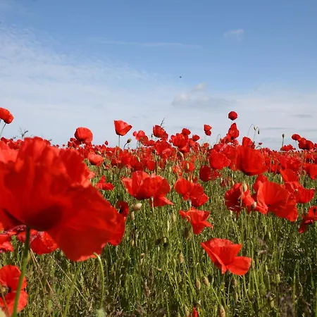 In Stove * Boiensdorf