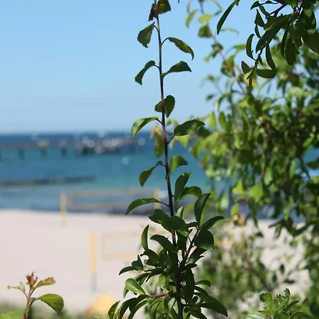 In Stove Holiday home *