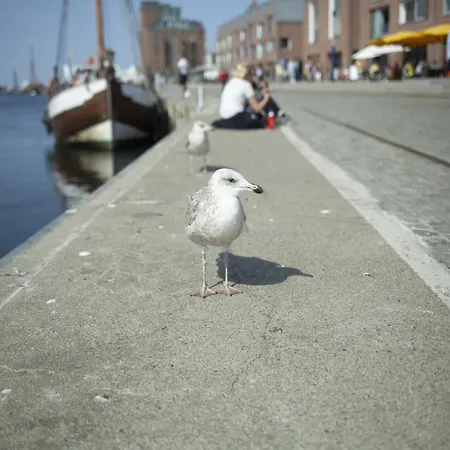 Holiday home In Stove Boiensdorf
