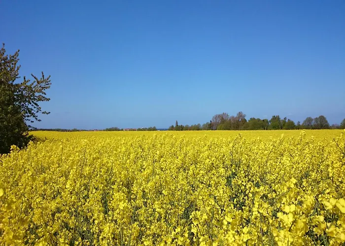 Tatil Evi In Stove Boiensdorf