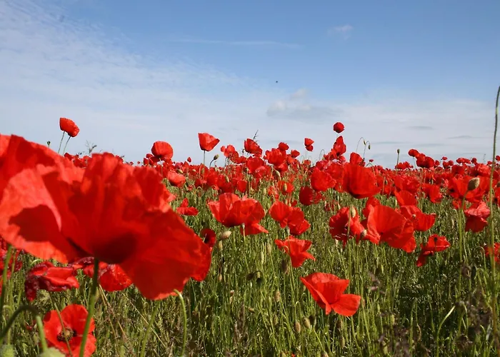 In Stove * Boiensdorf