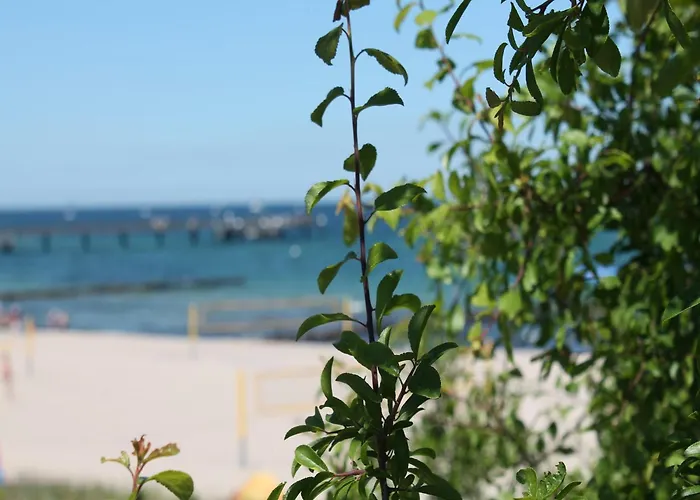 In Stove Tatil Evi *